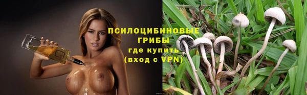 молекула духа Кодинск