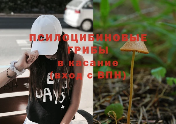 марки nbome Аркадак