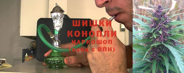 дживик Краснослободск