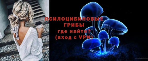 ПСИЛОЦИБИНОВЫЕ ГРИБЫ Елизово