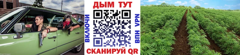 это Telegram  Верхний Тагил  Бошки Шишки Amnesia 